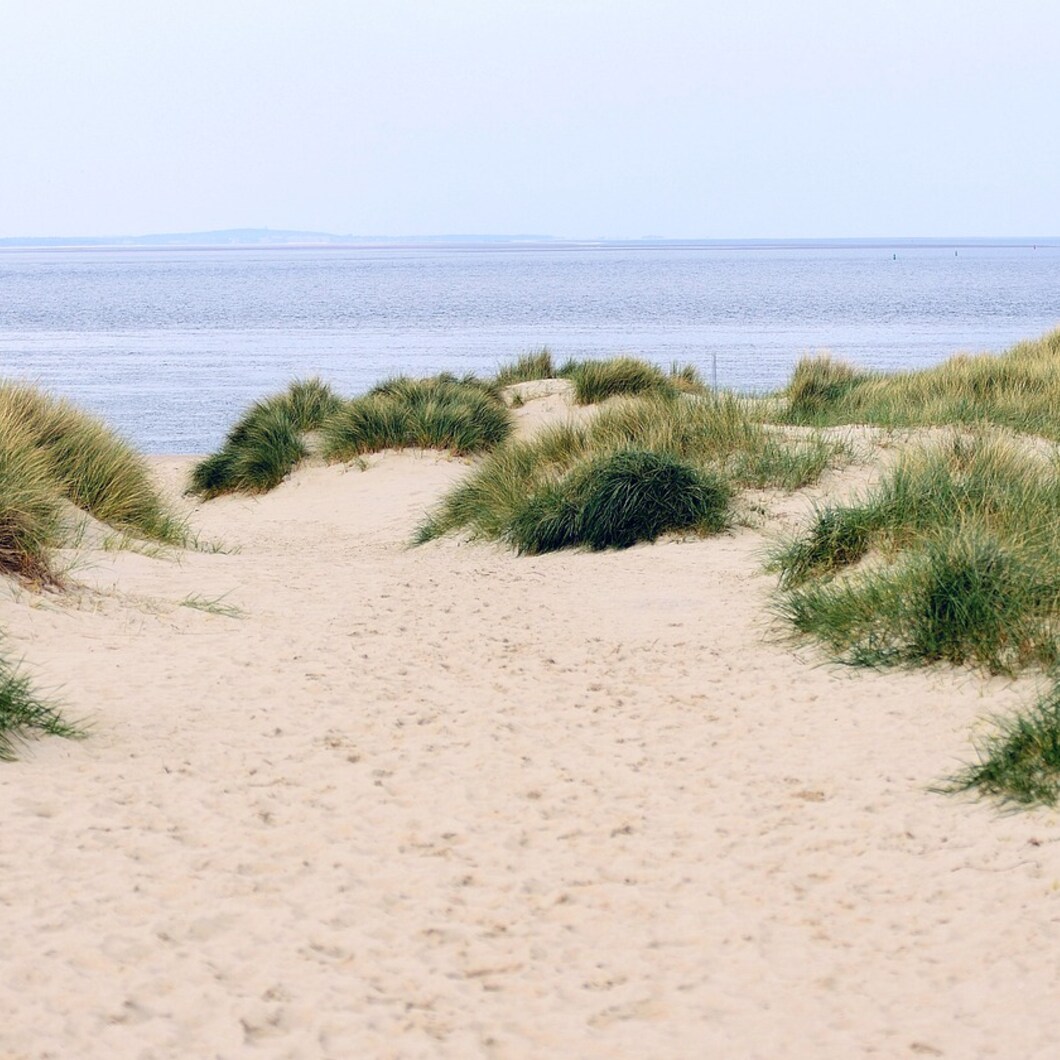 Mooi en kwetsbaar, onze beschermende duinen