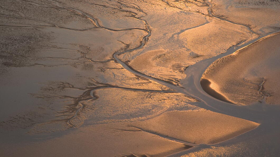 waddenzee