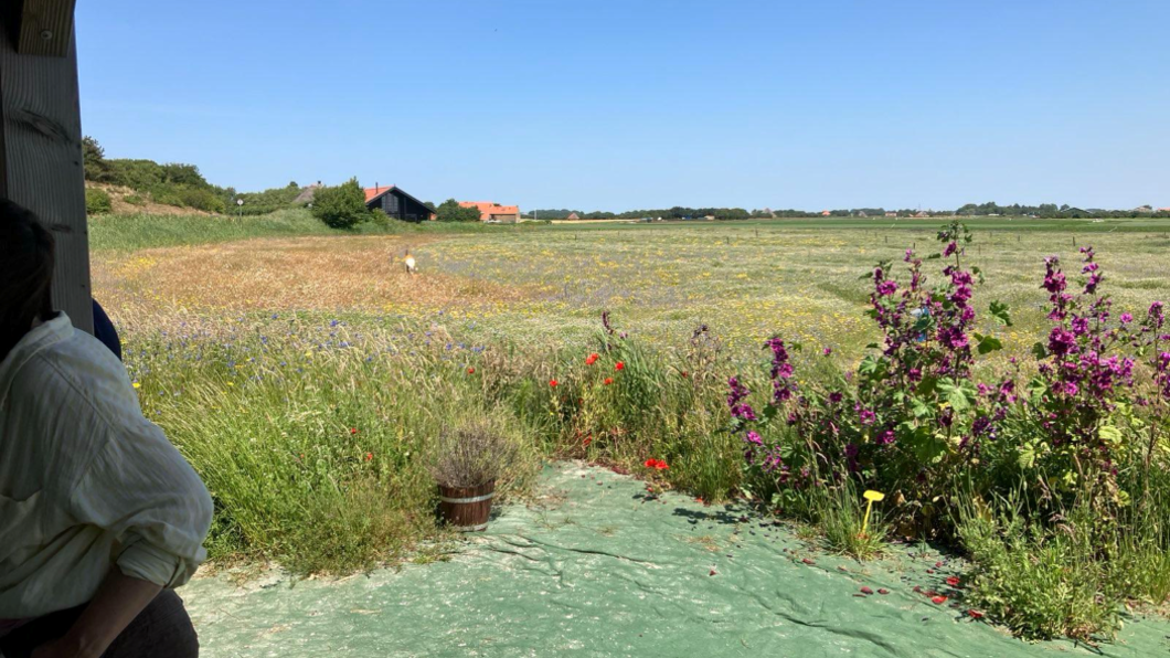 Uitzicht op de tuin