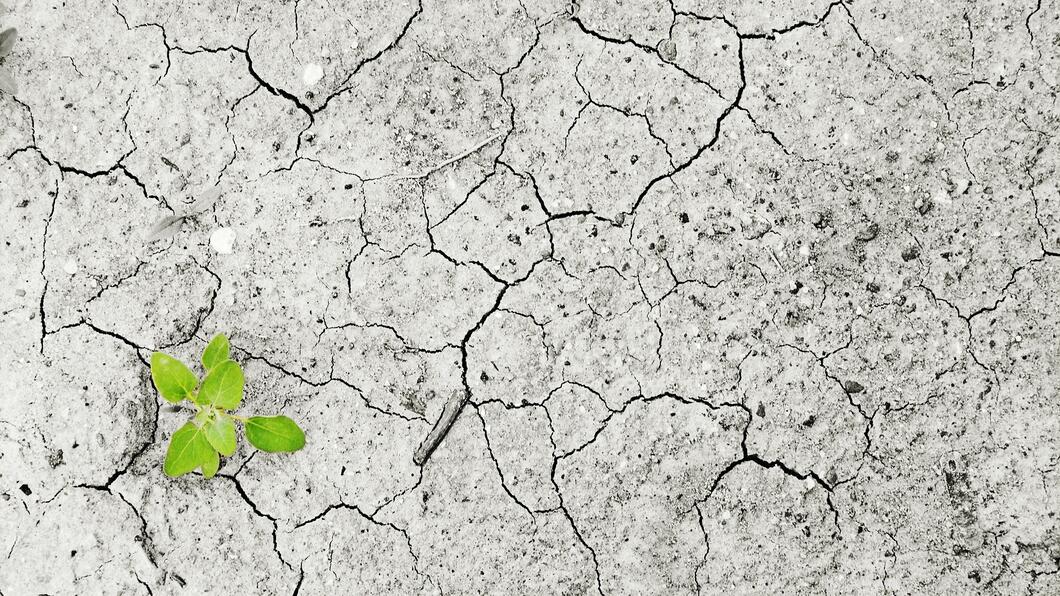 Klimaatverandering Klimaatverandering