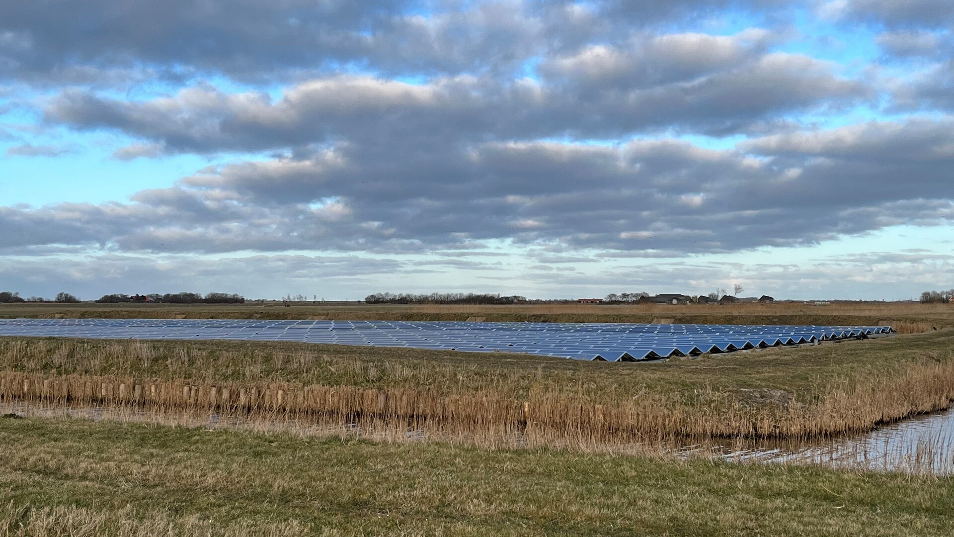 Zonnepanelen in een weiland langs de pontweg