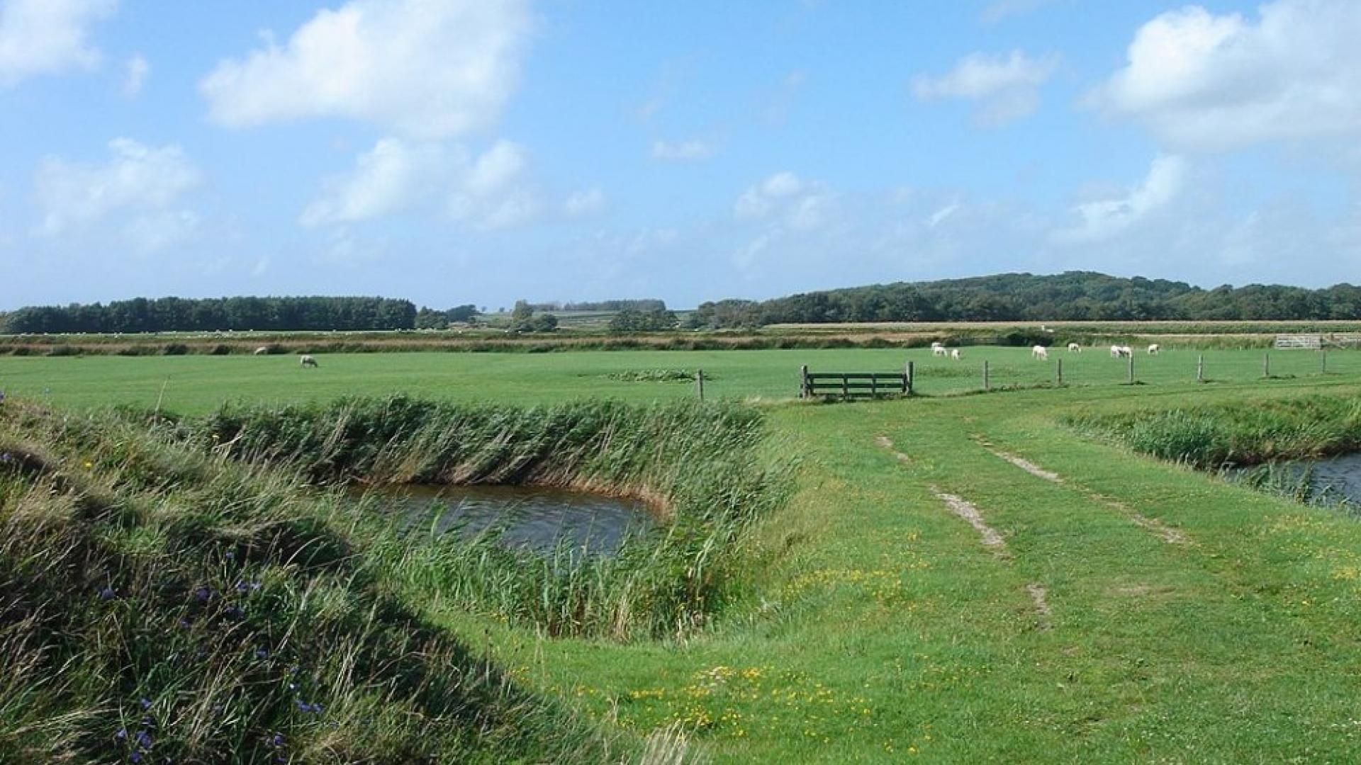1024px-Texel_-_Redoute_-_De_Schans_-_View_North_towards_De_Hoge_Berg.jpg
